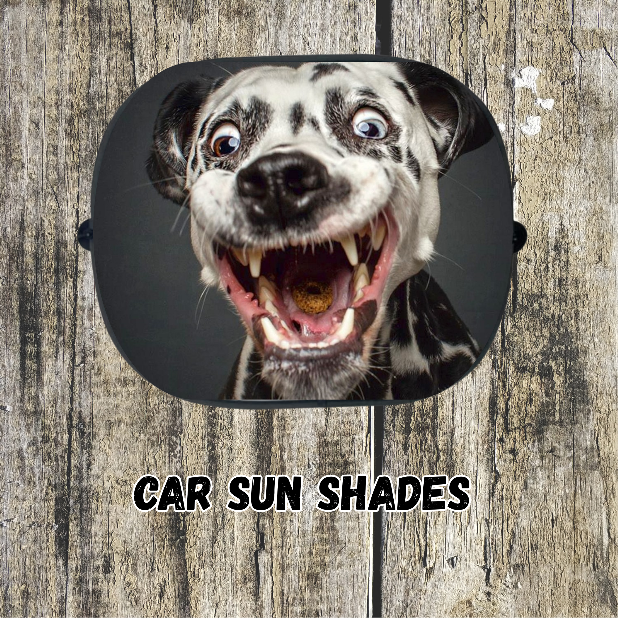 Car Sun Shades