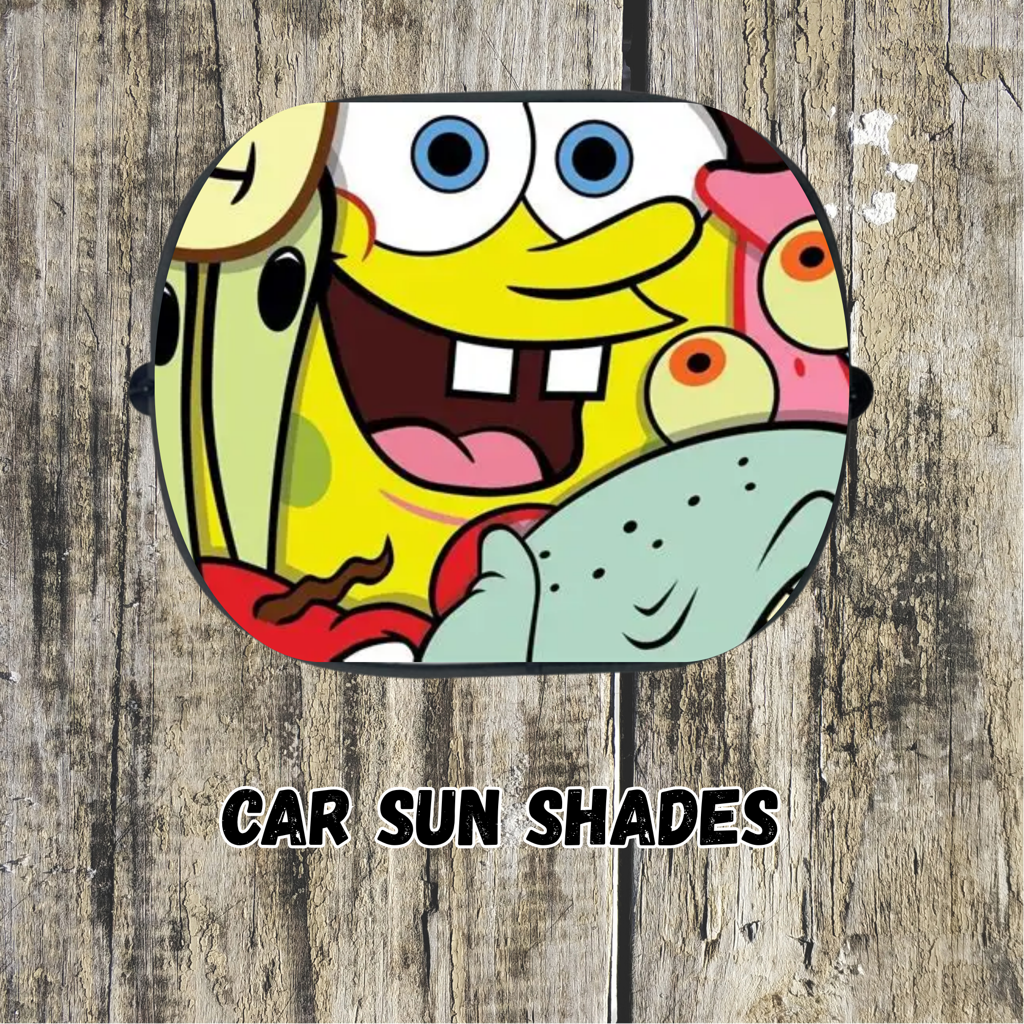 Car Sun Shades