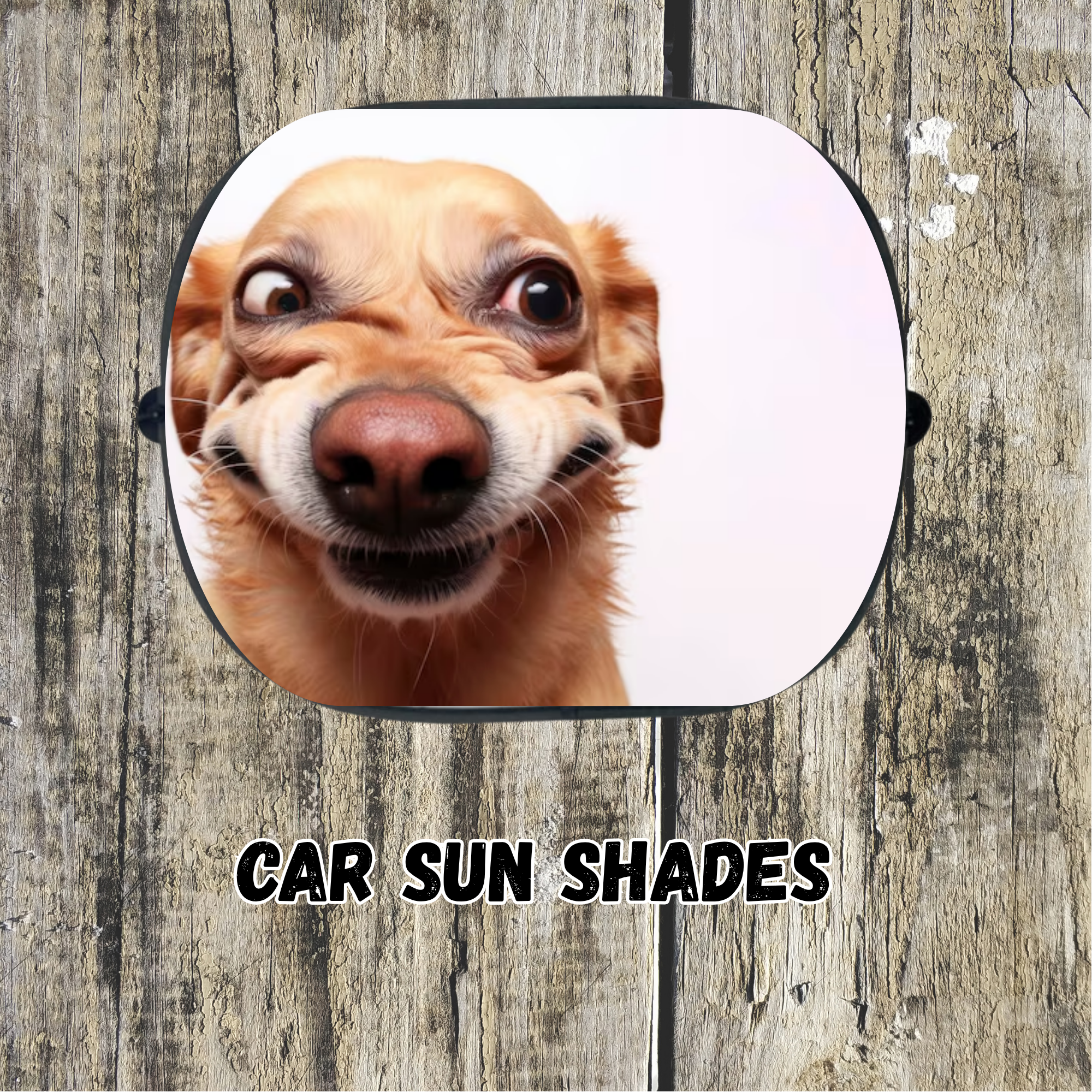 Car Sun Shades